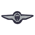 West German Parachute Wings Patch - German Army Surplus - Flags, Badges & Insignia