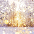 Winter Wonderland