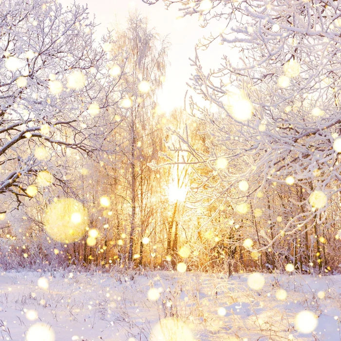 Winter Wonderland